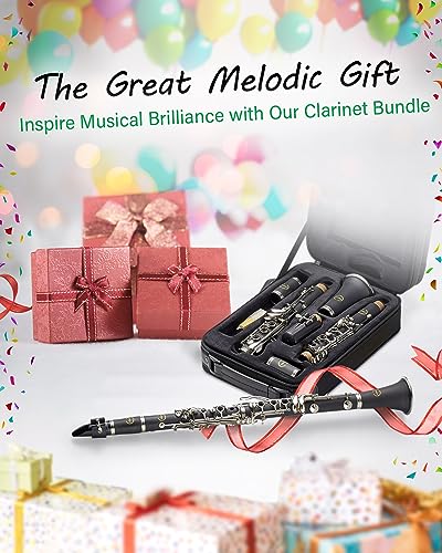 Libretto Bb Clarinet Set With Accessories, 5-Leg Stand - Image 5