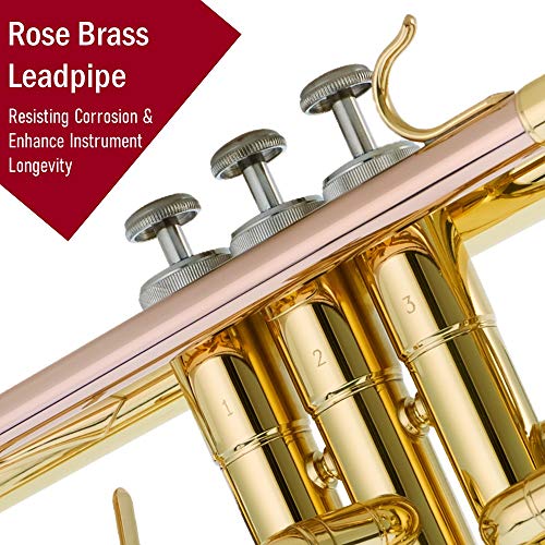 Libretto Gold Lacquer Bb Trumpet Set, Rose Brass - Image 4