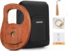Donner Lyre Harp DLH-003 With Accessories