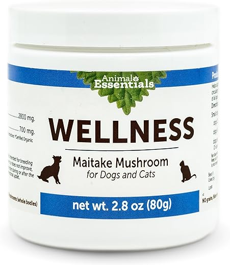 Small Animal Health & Wellness