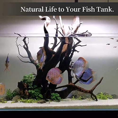 majoywoo Natural Coral Driftwood For Aquarium Decor - Image 5