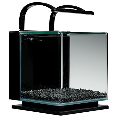 MarineLand Contour Glass Aquarium Kit With Rail Light - Image 5