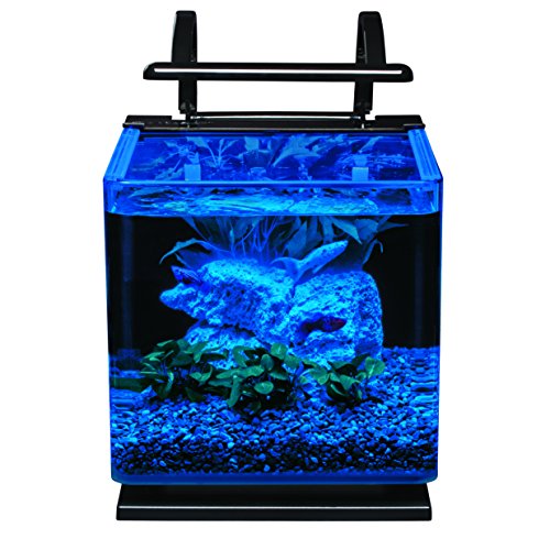 MarineLand Contour Glass Aquarium Kit With Rail Light - Image 2