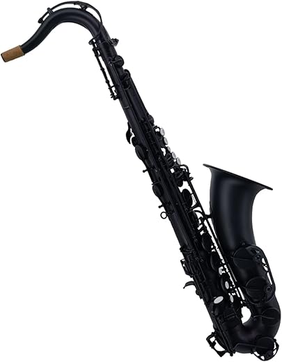 DZDZDZ Matte Black Nickel Plated Tenor Saxophone