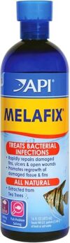 API Melafix Bacterial Infection Remedy, 16-Ounce