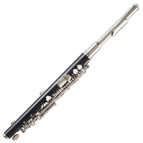 Mendini by Cecilio MPO-EN Black Resin Key of C Piccolo - Image 5