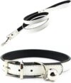 JIngwy Metal Buckle Pet Collar Leash Set S-White