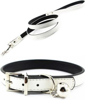 JIngwy Metal Buckle Pet Collar Leash Set S-White