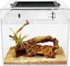 Reptile Growth Mini Reptile Terrarium, 8″ x 8″ x 8