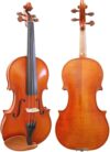 D Z Strad Model 220 Violin With Accessories