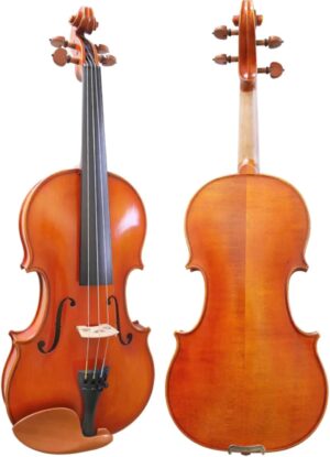 D Z Strad Model 220 Violin With Accessories