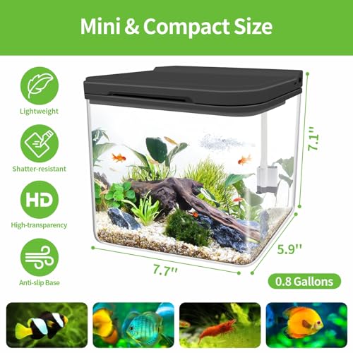 Moonorange Mini Fish Tank Kit 0.8 Gallon - Image 4