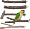 EBaokuup Natural Wood Bird Perches – 5PCS