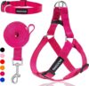 IPRAVOCI No Pull Dog Harness Leash Set