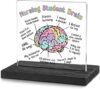 wainvniaw Nursing Student Desk Decor Funny Gifts
