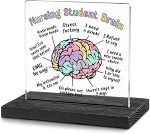 wainvniaw Nursing Student Desk Decor Funny Gifts
