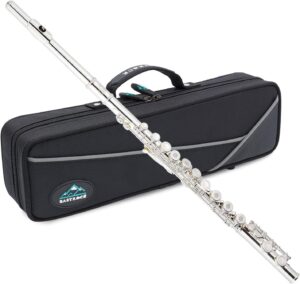 EASTROCK Open Hole Flutes C 16 Keys