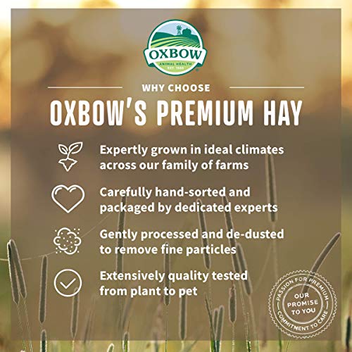 Oxbow Hay Blends - Western Timothy & Orchard - 90 oz - Image 4