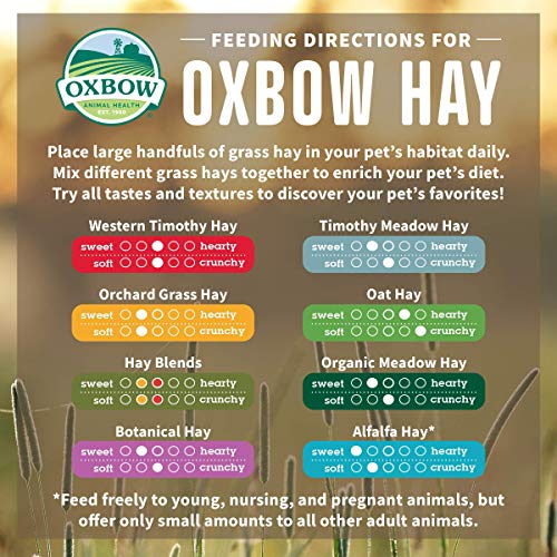 Oxbow Hay Blends - Western Timothy & Orchard - 90 oz - Image 5