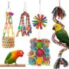 Bird Toys