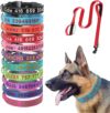 JANORS Personalized Embroidered Pet Collar, Custom Reflective