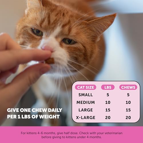 Pet Honesty Cat Multivitamin Chews - Health & Immune - Image 5