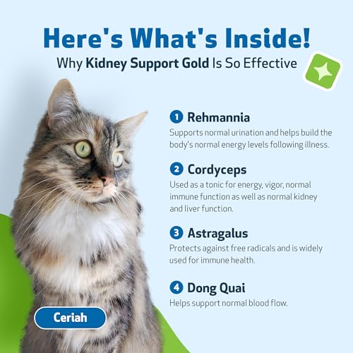 Pet Wellbeing Kidney Support Gold for Cats – 2 oz - Image 5