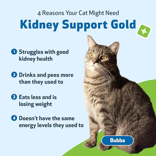 Pet Wellbeing Kidney Support Gold for Cats – 2 oz - Image 2