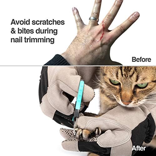 PetFusion Multipurpose Pet Glove For Grooming - Image 3