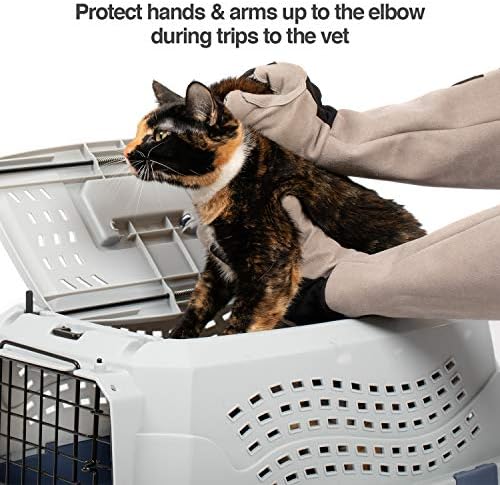 PetFusion Multipurpose Pet Glove For Grooming - Image 5