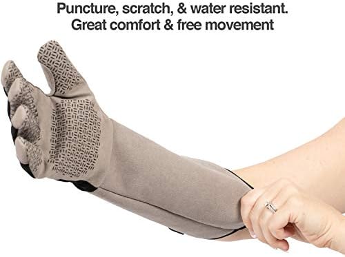 PetFusion Multipurpose Pet Glove For Grooming - Image 2