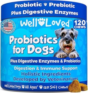 Dog Health & Wellness