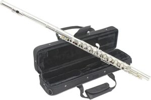 JUUTQA Professional 16 Holes C Key Flute