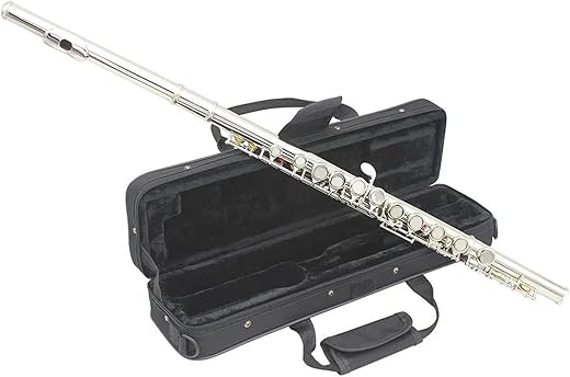 JUUTQA Professional 16 Holes C Key Flute