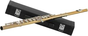 JUUTQA Professional 16 Holes C Key Flute