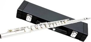 JUUTQA Professional 16 Holes C Key Flute