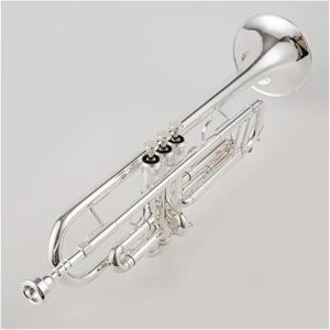 RTGHYTY Professional Bb Trumpet B Key Brass