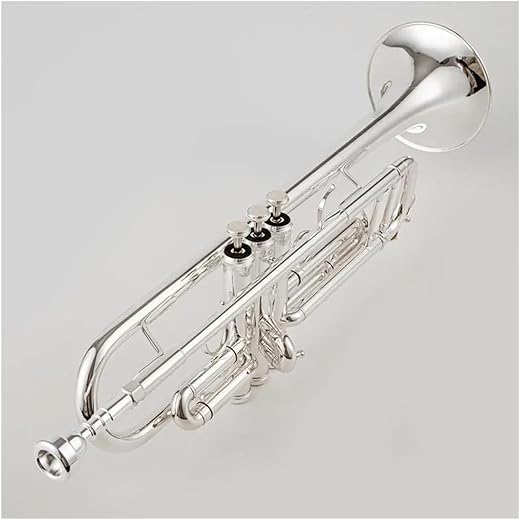 RTGHYTY Professional Bb Trumpet B Key Brass