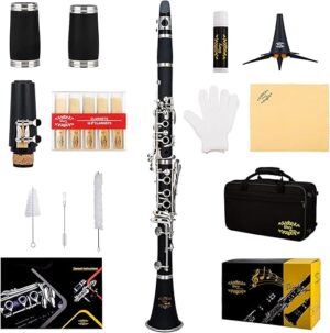 GLORY Professional GLY-PBK Ebonite Bb Clarinet with Reeds