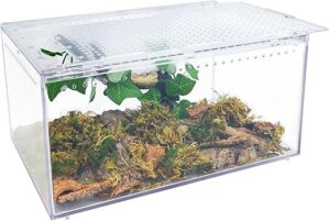 Apatal Reptile Terrarium 12"x8"x6" Acrylic Box