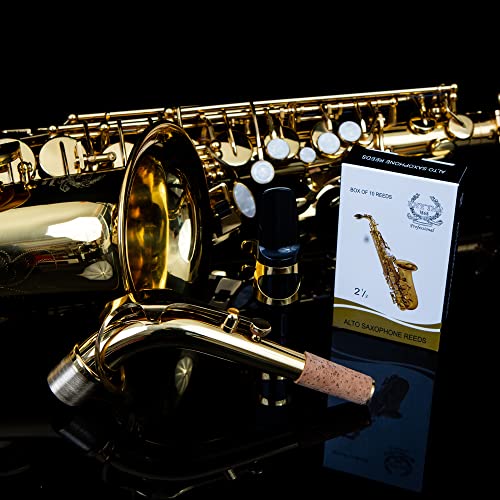 Rhythm Rhythm Eb Alto Saxophone With Case - Image 5