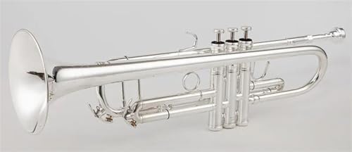 RTGHYTY Professional Bb Trumpet B Key Brass - Image 5