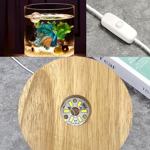 SANOSY Aquarium Starter Kit 0.81-Gallon Fish Tank - Image 4