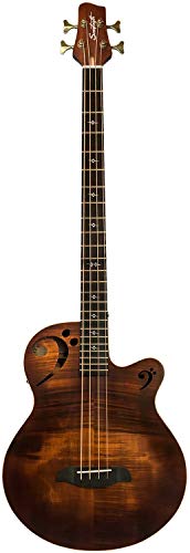 Sawtooth Rudy Sarzo Signature Acoustic-Electric Bass Guitar - Image 2