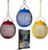 BACKYARD EXPRESSIONS PATIO · HOME · GARDEN Set Of 3 Squirrel Proof Bird Feeders