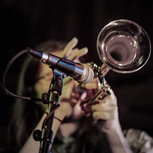 Shure Beta 57A Instrument Microphone - Supercardioid - Image 2