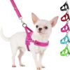 SlowTon Small Dog Harness And Leash Set