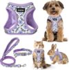 GAMUDA Small Dog Harness Collar Leash Set, Purple