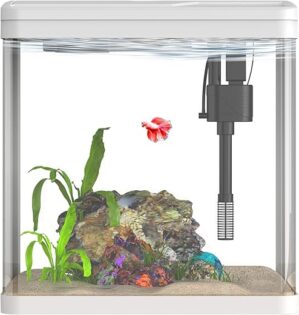 Vimvins Small Fish Tank with Filter, 2 Gallon