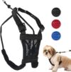 Sporn Small No Pull Dog Harness, Black